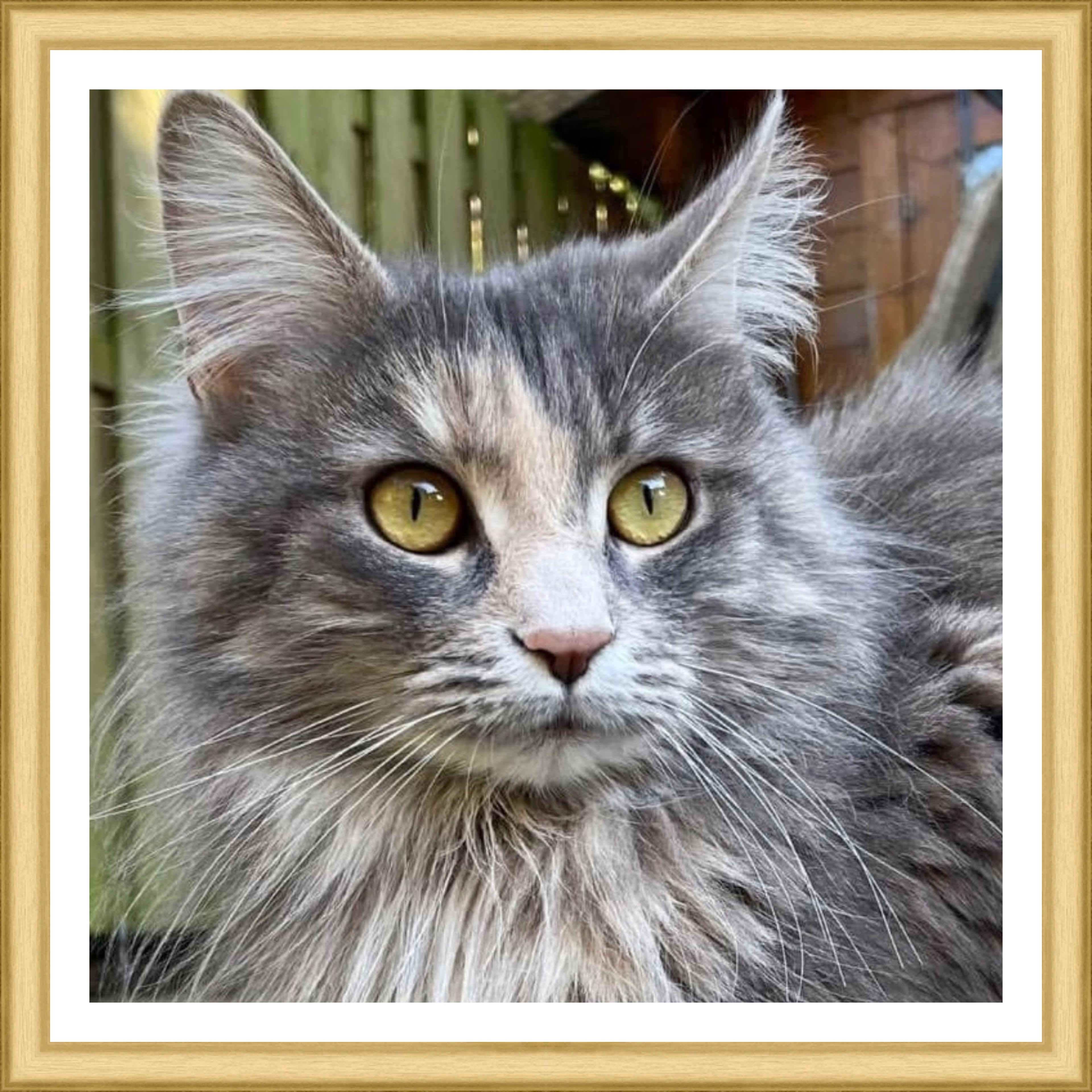 Voorbeeld CSS plaatje floaten