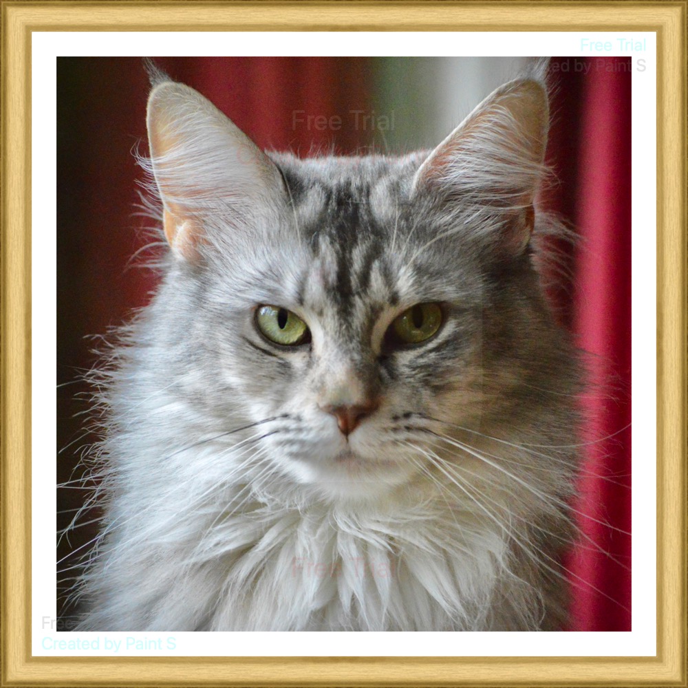 Voorbeeld CSS plaatje floaten